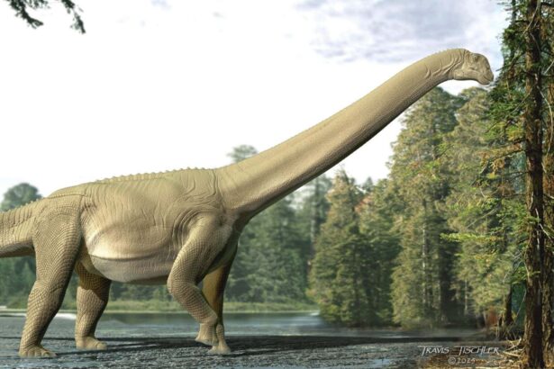 Sauropod dinosaur’s last meal reveals that it didn’t bother to chew