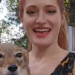 SaveAFox YouTuber Mikayla Raines Dies by Suicide After Online Bullying