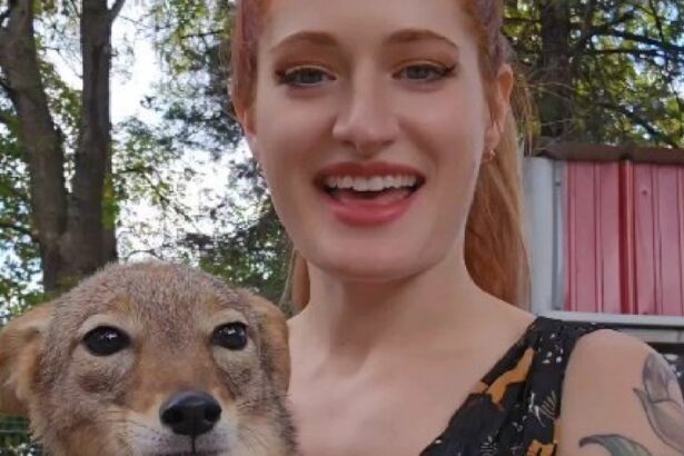 SaveAFox YouTuber Mikayla Raines Dies by Suicide After Online Bullying