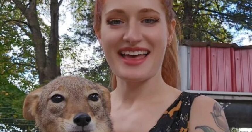 SaveAFox YouTuber Mikayla Raines Dies by Suicide After Online Bullying