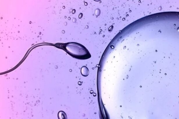 Scientists Caught Sperm Defying One of Newton’s Laws of Physics : ScienceAlert