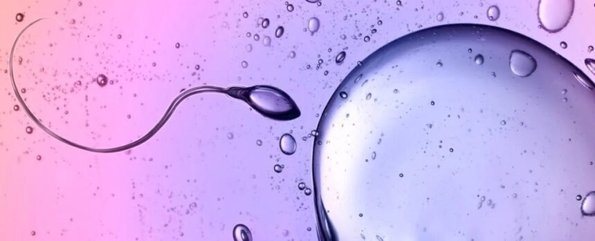 Scientists Caught Sperm Defying One of Newton’s Laws of Physics : ScienceAlert