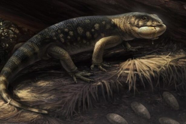 Scientists Discover ‘Goblin Prince’ That Roamed With Dinosaurs : ScienceAlert