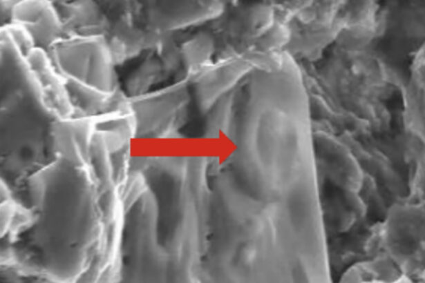 Scientists Found Cancer in a Dinosaur – And It Might Help Save Human Lives : ScienceAlert