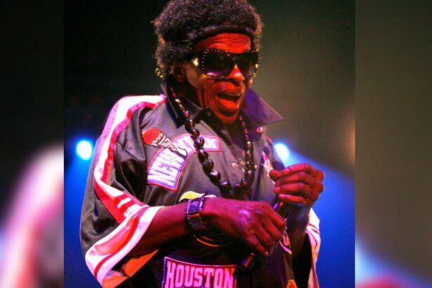 Secrets Sly Stone Took to Grave After Music Icon Died At 82.