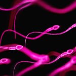 Semen Allergies Aren’t Rare After All (And Yes, Men Have Them Too) : ScienceAlert