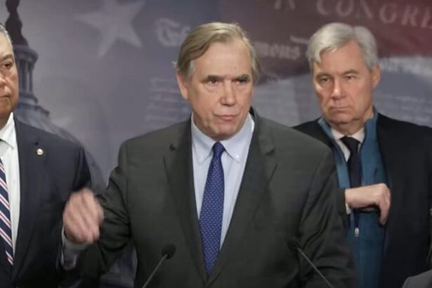 Senate Democrats Get Several Massive Wins On Medicaid Cuts