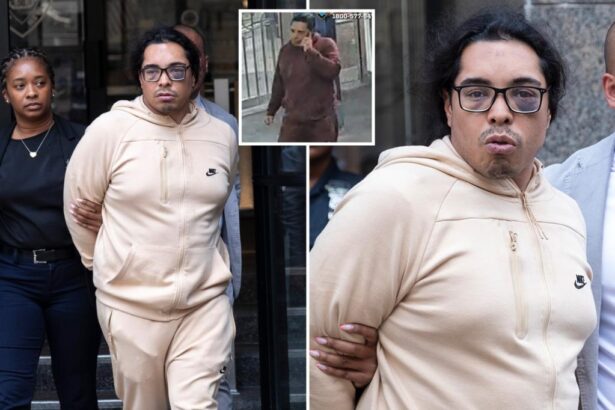 Serial NYC perv who tried to kiss female straphanger’s feet is nabbed