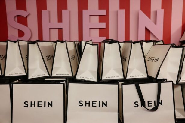 Shein’s planned Hong Kong listing to benefit from wider capital pool, analysts say