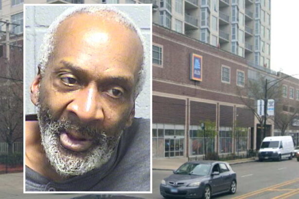 Shoplifter admitted he ‘stabbed the **** out of’ grocery store manager: Chicago police