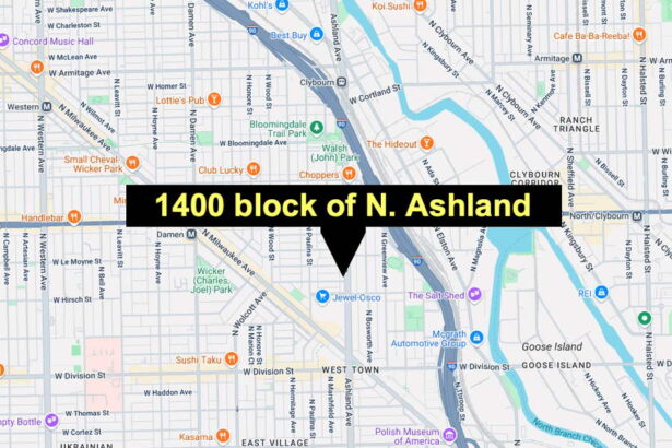 Shots fired on CTA bus in Wicker Park, suspect detained