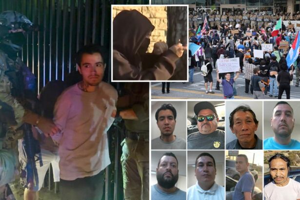 Since LA riots started, ICE has taken Molotov thrower, killer and child molester off the streets