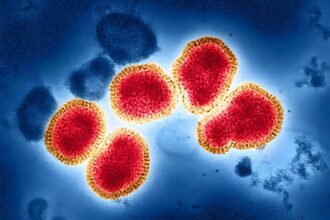 Single antiviral shot could offer better protection than flu vaccines