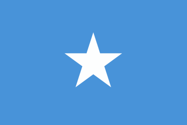 Small government in Somalia – Econlib