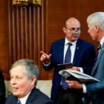 Solar bankruptcies mount as Congress slashes green energy funds