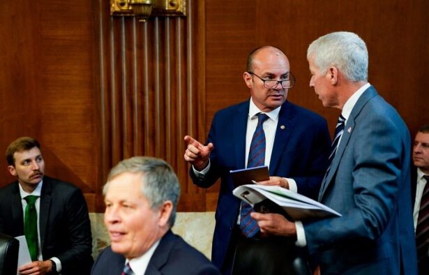 Solar bankruptcies mount as Congress slashes green energy funds