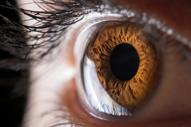 Something Strange Happens to Your Eyes When You’re Sexually Aroused : ScienceAlert