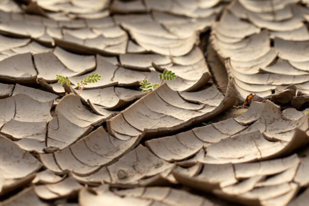 South Africa Is Rising Up Out of The Ocean, Scientists Reveal : ScienceAlert