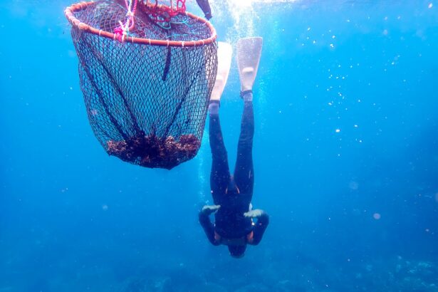 South Korean Haenyeo Divers’ Extreme Lifestyle Is Shaping Their Genetics