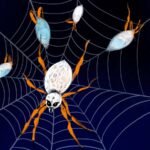 Spiders that get eaten after sex are picky about mates. You don’t say