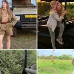 Stars On Safaris … Where The Wild Things Are!