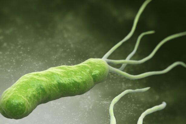 Stomach Ulcer Bacteria Could Be a Surprise Ally Against Alzheimer’s : ScienceAlert