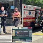 Stranger sprays mystery substance in face of mom, 25, and daughter, 11 months, on board NYC train: cops
