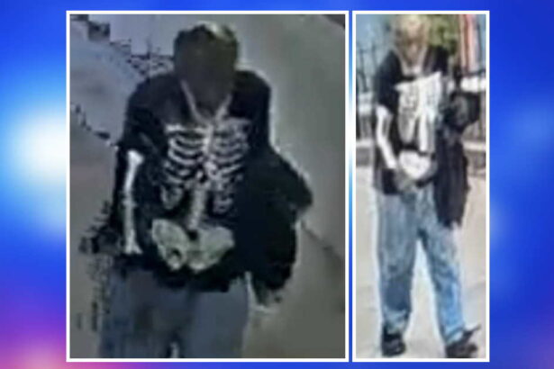 Stranger touched young girls at South Loop playground, police warn