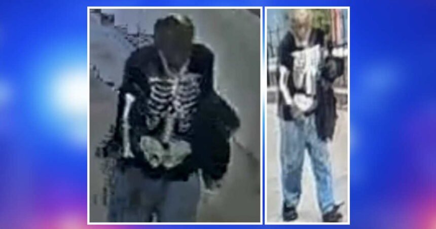 Stranger touched young girls at South Loop playground, police warn