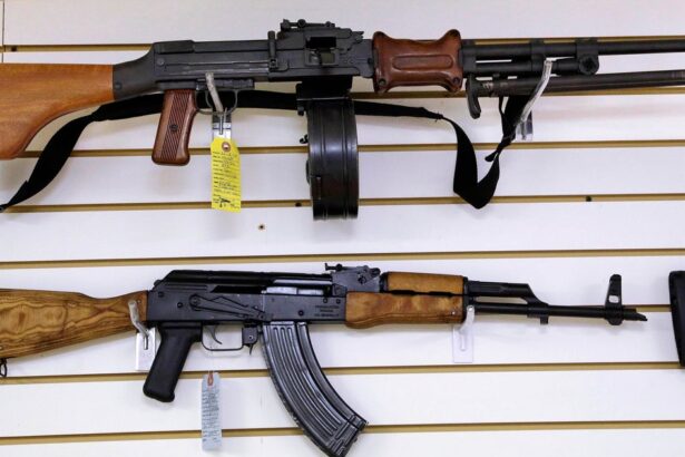 Supreme Court Declines Gun-Control Cases, But Assault Weapons Ban May Get Future Review