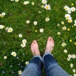 Sustainable Alternative Lawns – Earth911