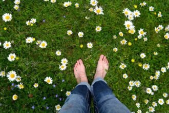 Sustainable Alternative Lawns – Earth911