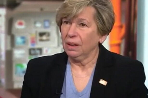 Teacher Union Chief Randi Weingarten Resigns From DNC Position and People Have Questions |