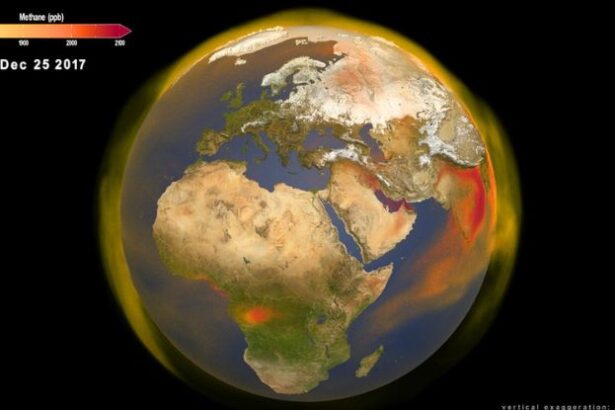 The Human Epoch Doesn’t Officially Exist. But We Know When It Began. : ScienceAlert