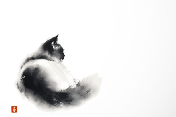 The Importance of Foreign Literature