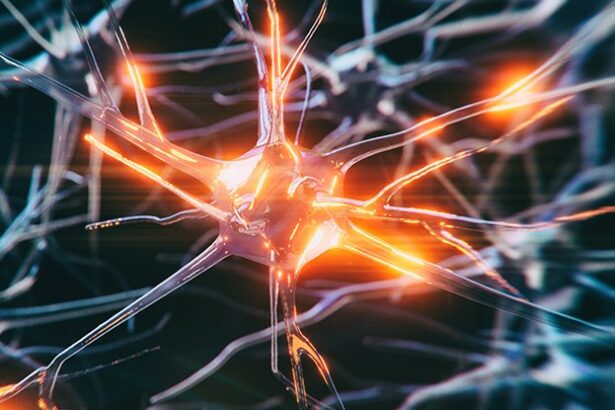 The Sad Case of The World’s Youngest-Ever Alzheimer’s Diagnosis : ScienceAlert