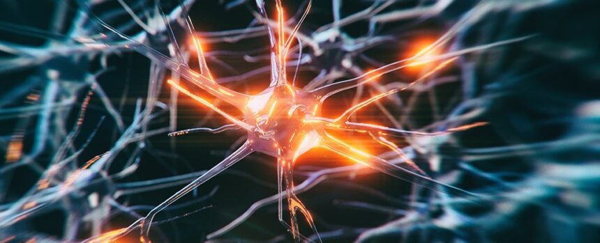 The Sad Case of The World’s Youngest-Ever Alzheimer’s Diagnosis : ScienceAlert