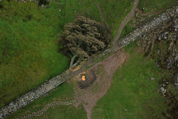 The Science of Revenge: A new book argues that revenge is an addiction – but doesn’t convince