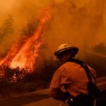 The Trump admin claims roads in forests prevent wildfires. Researchers disagree.