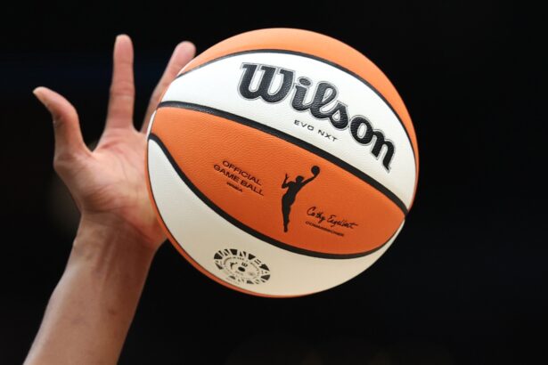 The WNBA expands to a record 18 teams, adding 3 cities : NPR