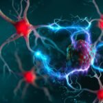 The chilling discovery that nerve cells help cancers grow and spread