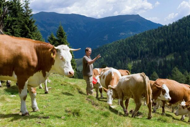 The maths hack that can help you count things