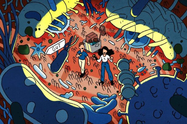 The surprisingly big impact the small intestine has on your health