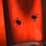 There’s a Shocking Reason Ticks Are So Dangerous (It’s Us) : ScienceAlert