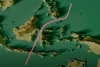 There’s an Invisible Line That Animals Don’t Cross. Here’s Why. : ScienceAlert