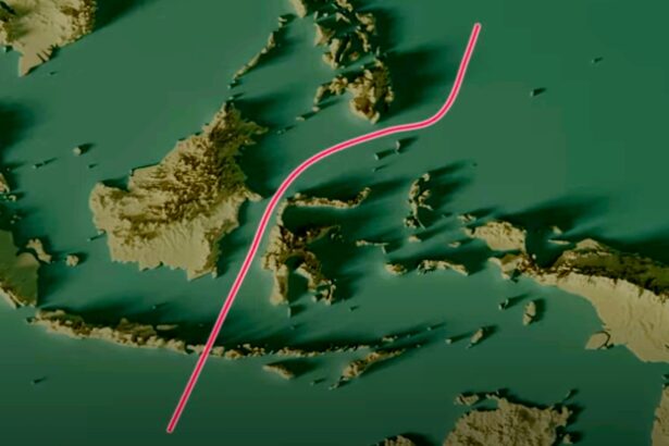 There’s an Invisible Line That Animals Don’t Cross. Here’s Why. : ScienceAlert