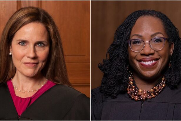 This Excerpt From Ketanji Brown Jackson’s Dissent Explains Why She Got Nuked by Amy Coney Barrett |