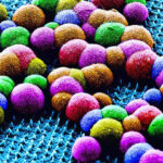 This painless nanoneedle patch might one day replace certain biopsies