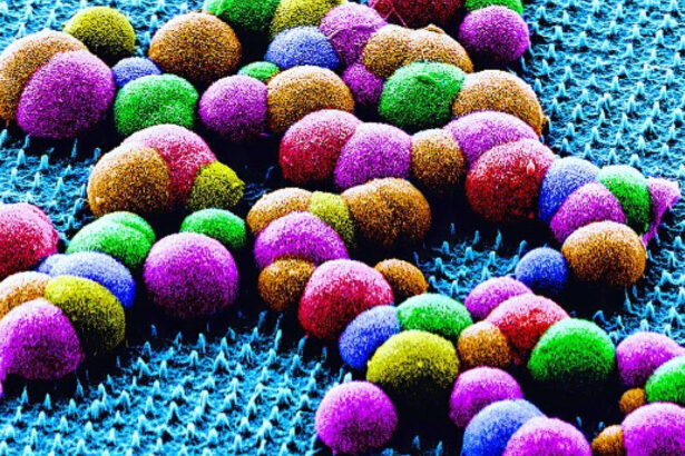 This painless nanoneedle patch might one day replace certain biopsies