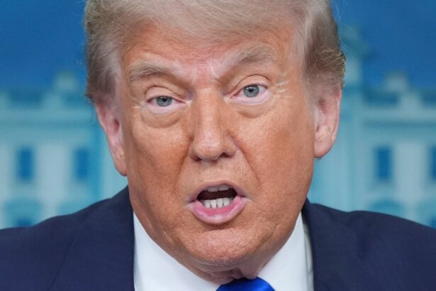 Trump Animatronic Returns To Disney’s Hall Of Presidents